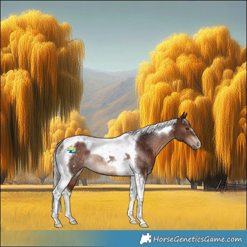 Horse Color:Silver Brown Tobiano Rabicano
