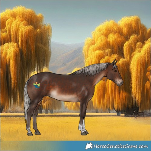 Horse Color:Silver Brown Tobiano Rabicano
