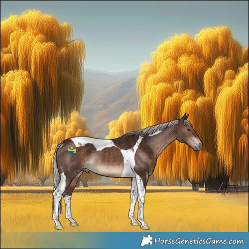 Horse Color:Silver Bay Tobiano Rabicano 