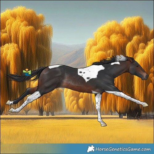 Horse Color:Brown Tobiano Rabicano