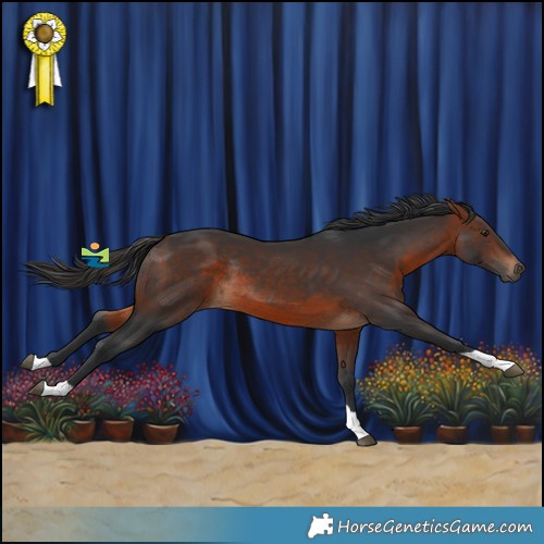 Horse Color:Brown Tobiano Rabicano