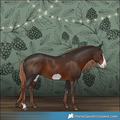 Horse Color:Liver Chestnut Frame