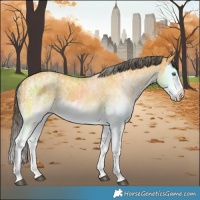 Horse Color:White Spotted Buckskin Splash and White Spotted Buckskin Splash