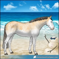 Horse Color:White Spotted Buckskin Splash and White Spotted Buckskin Splash