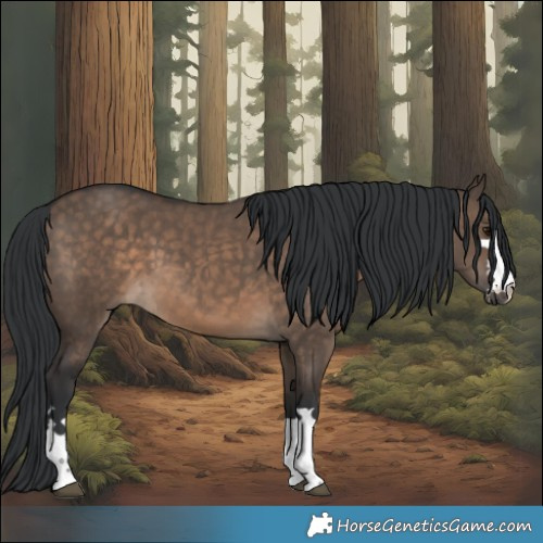 Horse Color:Brown Dun