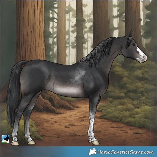 Horse Color:Platinum Brown Splash Tobiano Rabicano 