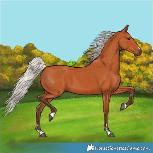 Horse Color:Silver Bay