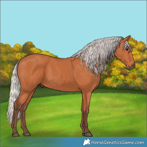 Horse Color:Silver Bay