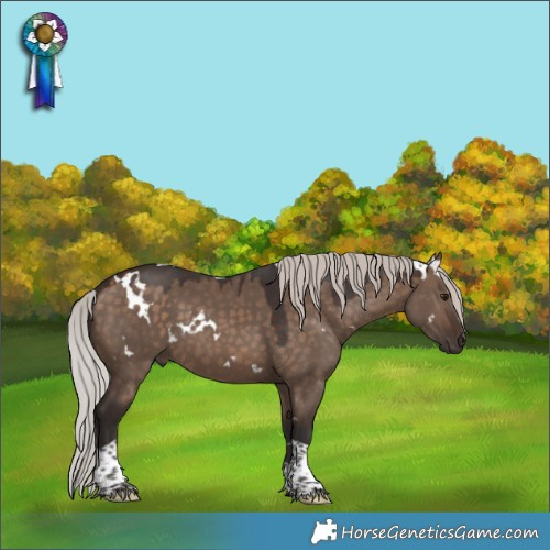 Horse Color:White Spotted Silver Brown Dun Tobiano
