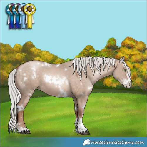 Horse Color:White Spotted Silver Brown Pearl Dun Mushroom Sabino 