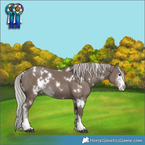 Horse Color:White Spotted Silver Grullo Mushroom Sabino