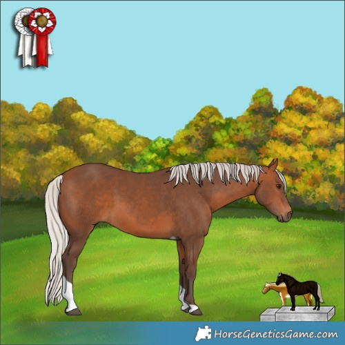 Horse Color:Silver Brown Tobiano