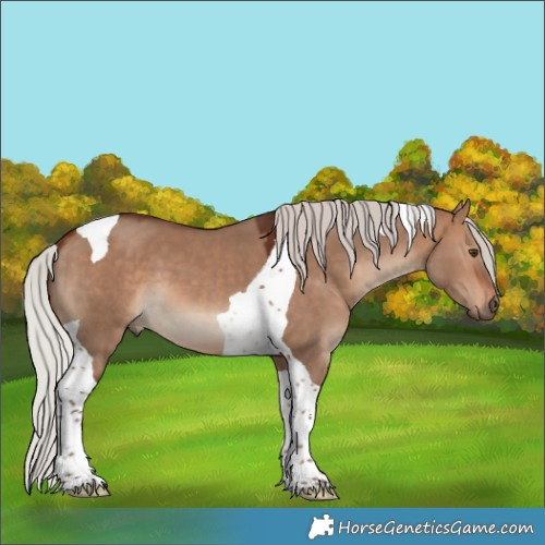 Horse Color:Silver Bay Dun Tobiano