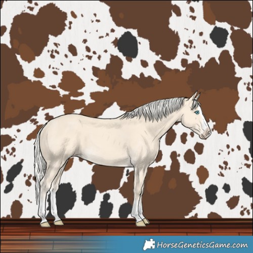 Horse Color:Cremello Splash  and Cremello Splash 