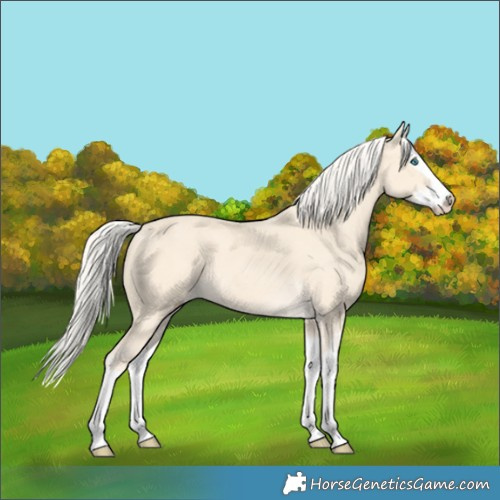 Horse Color:Cremello Splash  and Cremello Splash 