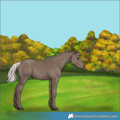 Horse Color:Silver Black 