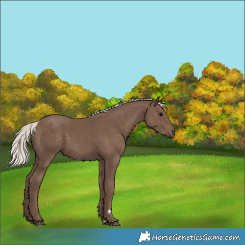 Horse Color:Silver Black 