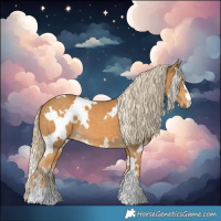 Horse Color:White Spotted Palomino