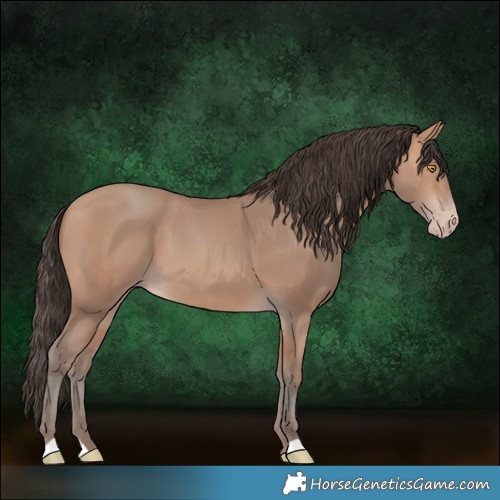 Horse Color:Amber Champagne