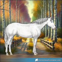 Horse Color:Cremello Near Leopard 