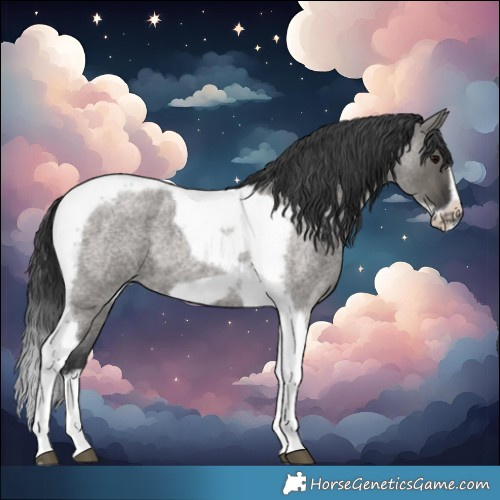 Horse Color:Grullo Roan Tobiano Frame 