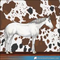 Horse Color:Buckskin Pearl Dun Splash  and Gold Cream Champagne Pearl Dun Splash 