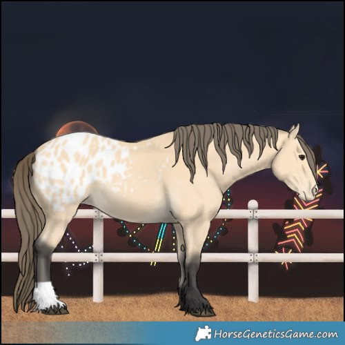 Horse Color:Buckskin Blanket