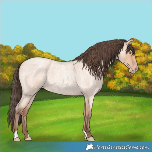 Horse Color:Amber Champagne Roan 