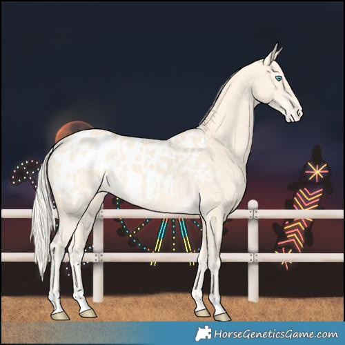 Horse Color:Cremello Blanket 