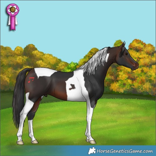 Horse Color:Brown Tobiano
