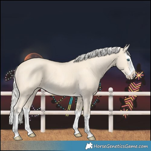Horse Color:Cremello Splash  and Cremello Splash 