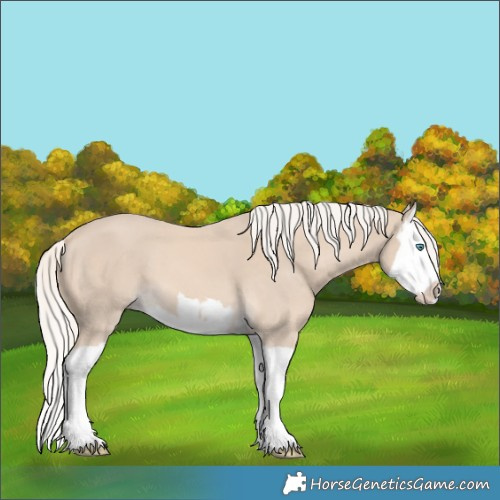 Horse Color:Cremello Splash  and Cremello Splash 