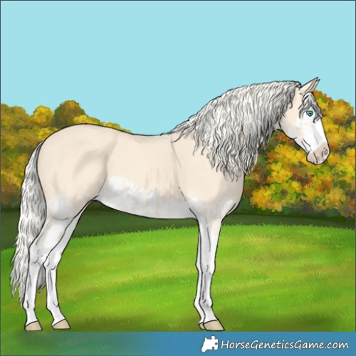 Horse Color:Cremello Splash and Cremello Splash