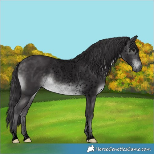 Horse Color:Void Platinum Buckskin