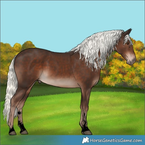 Horse Color:Void Liver Chestnut Mushroom 