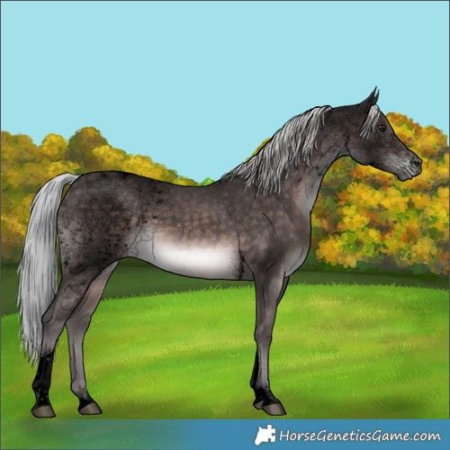 Horse Color:Void Platinum Silver Brown Tobiano