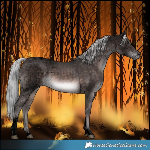Horse Color:Void Platinum Silver Brown Tobiano