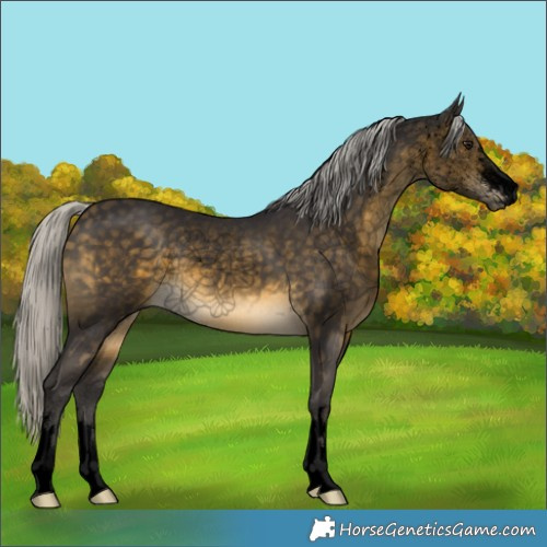 Horse Color:Void Silver Buckskin 