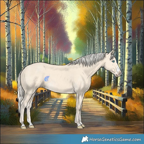 Horse Color:Cremello Splash and Cremello Splash