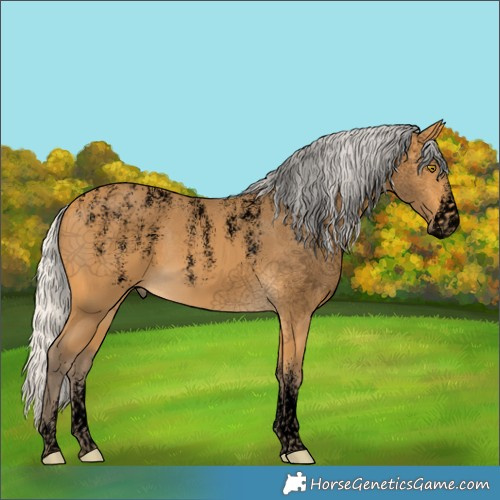 Horse Color:Powder White Void Silver Buckskin 