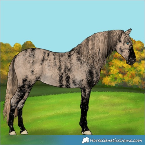 Horse Color:Powder White Void White Spotted Perlino Rabicano 