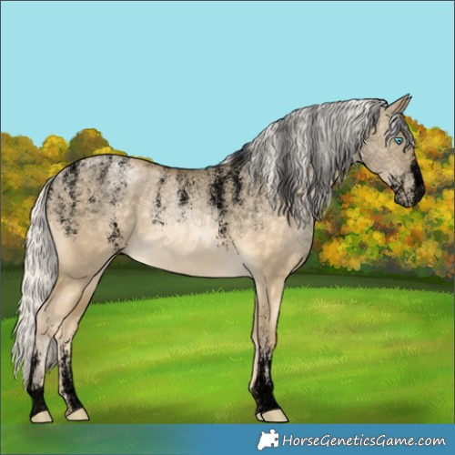 Horse Color:Powder White Void Silver Buckskin Pearl Dun