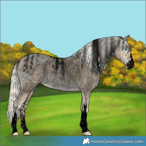 Horse Color:Powder White Void Silver Buckskin Ice Roan Pearl Rabicano