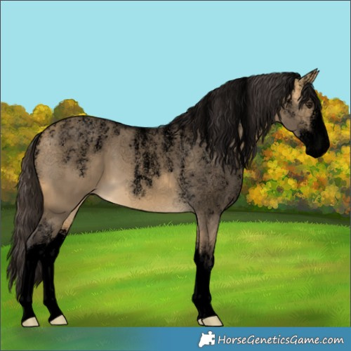 Horse Color:Powder White Void White Spotted Buckskin Dun 