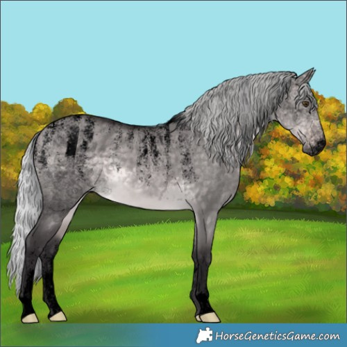 Horse Color:Powder White Void Platinum Silver Buckskin Dun 
