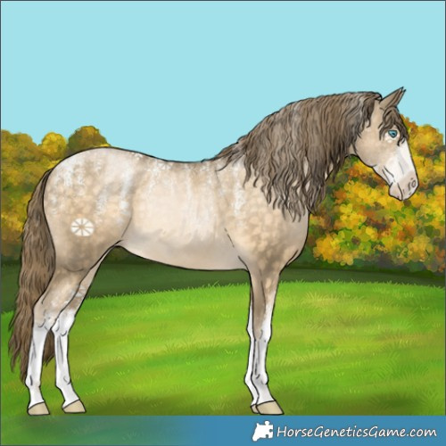 Horse Color:Powder White White Spotted Buckskin Pearl Rabicano