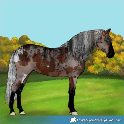 Horse Color:Powder White Void White Spotted Silver Brown Merle Rabicano