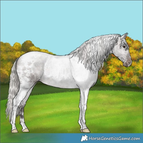 Horse Color:Powder White Silver Brown Tobiano 