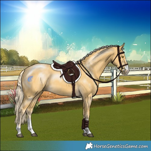 Horse Color:Palomino Rabicano 