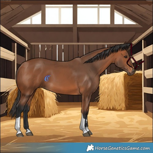 Horse Color:Bay Tobiano 
